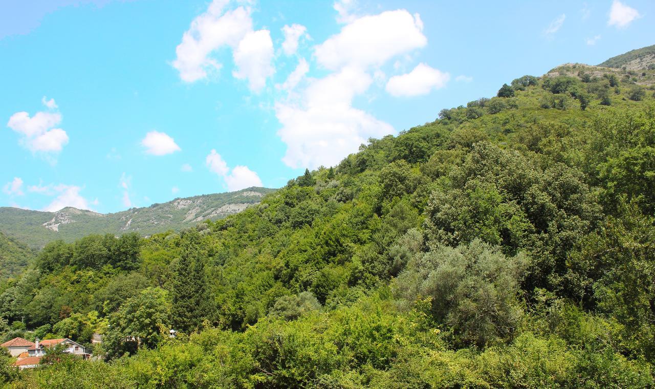 Apartment Bijelavista Herceg Novi Ngoại thất bức ảnh